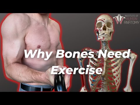 How Your Bones Change With Exercise