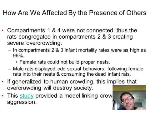 Topic 9 1 We Are Affected By The Presence Of Others