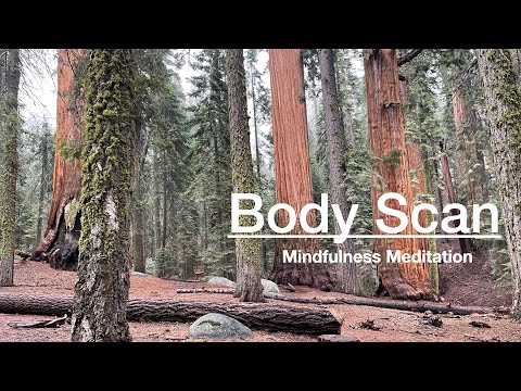 Body Scan Mindfulness Meditation - A Short Guided Body Scan Meditation