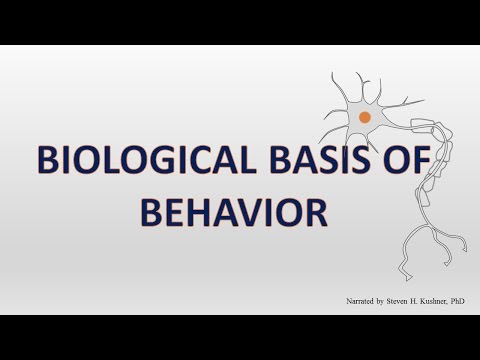 Biological Basis Of Behavior