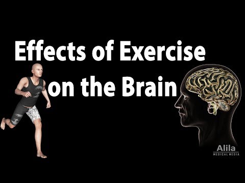 Effects Of Exercise On The Brain, Animation