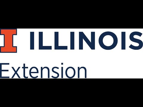 Recognizing And Managing Stress - Pam Schallhorn, Ced Extension Specialist (Uiuc) July 2020