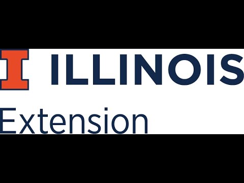 Recognizing and Managing Stress - Pam Schallhorn, CED Extension Specialist (UIUC) July 2020