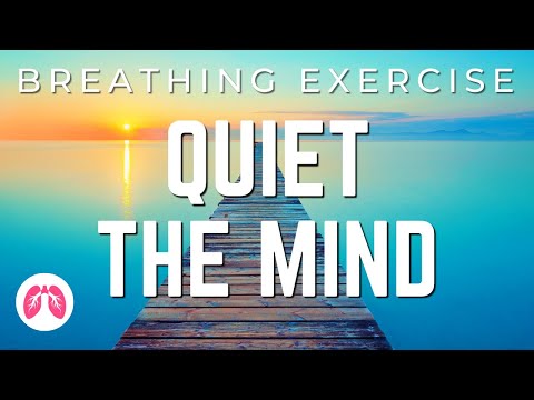 Breathing Exercises With Guided Meditation | 5 Minutes | Take A Deep Breath