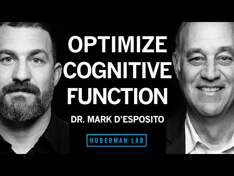 Dr. Mark D'Esposito: How To Optimize Cognitive Function &Amp;Amp; Brain Health