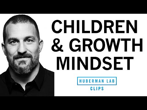 How To Correctly Praise Children To Foster Growth Mindset | Dr. Andrew Huberman