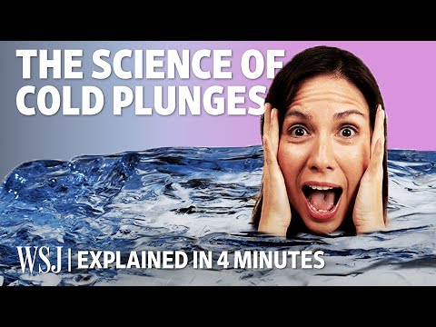 The Science Behind Cold Plunges, Explained in Four Minutes