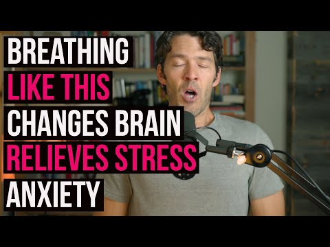 Breathwork Creates Meditation Like Effect On Brain: Anxiety &Amp;Amp; Stress Relief Tips, Study