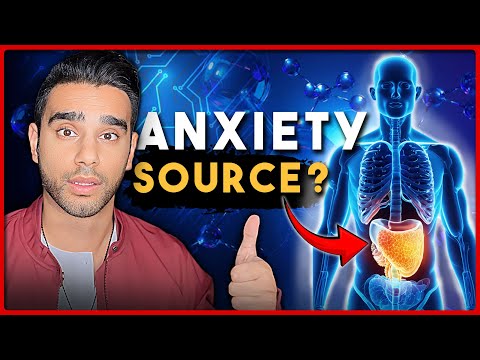 Link Between Gut Health And Anxiety Recovery