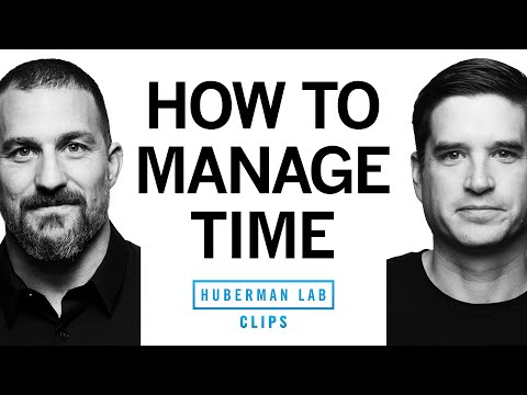 Maximize Productivity With These Time Management Tools | Dr. Cal Newport &Amp;Amp; Dr. Andrew Huberman