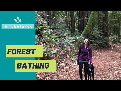 How And Why To Try Forest Bathing