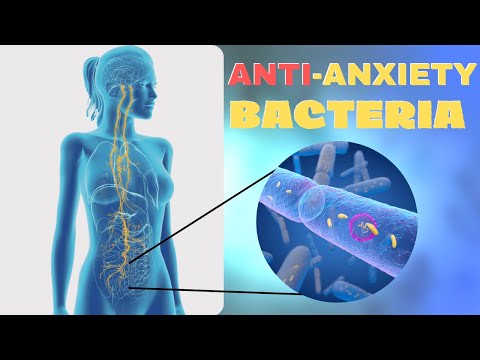 She Cured Her Anxiety: The Gut-Brain Connection For Mental Health
