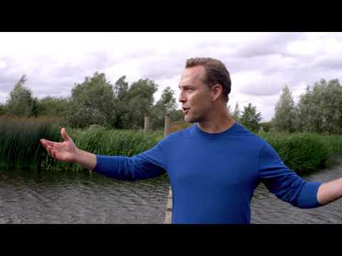 Qi Gong For Depression &Amp;Amp; Emotional Balance With Lee Holden (Ymaa)