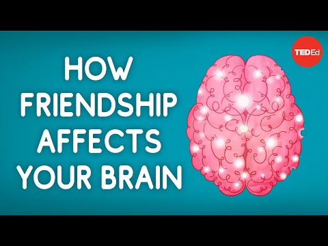 How Friendship Affects Your Brain - Shannon Odell