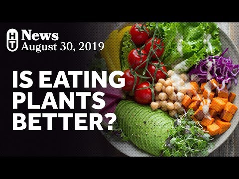 New Research On Plant-Based Diets And Mortality