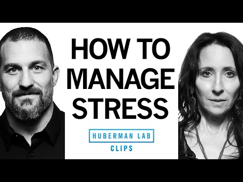 How To Manage &Amp;Amp; Better Understand Stress | Dr. Elissa Epel &Amp;Amp; Dr. Andrew Huberman
