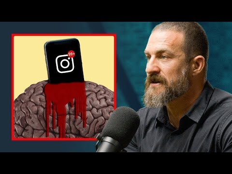 What Really Happens To Your Brain After Using Social Media - Andrew Huberman