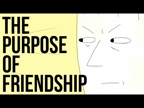 The Purpose Of Friendship