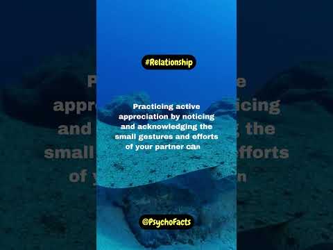 Small Gestures, Big Impact: The Power Of Love