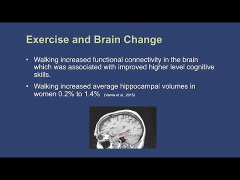 The Impact of Exercise on Cognitive Functioning