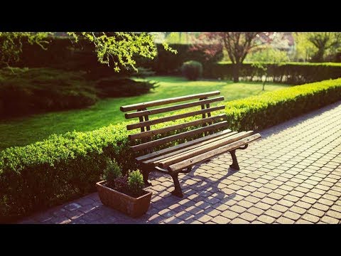 Green Spaces Have A Positive Impact On Mental Health