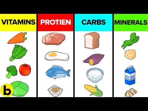 How The Six Basic Nutrients Affect Your Body