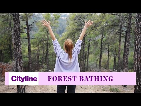 What Science Tells Us About The Healing Benefits Of 'Forest Bathing'