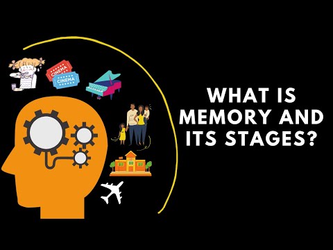 What is memory and its stages?