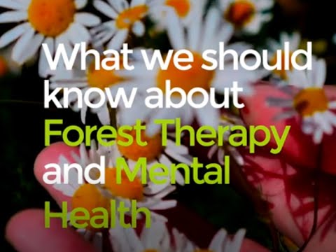 Forest Therapy Interventions And Mental Health - Forest Therapy Hub