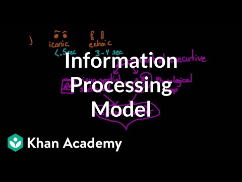 Information processing model: Sensory, working, and long term memory | MCAT | Khan Academy