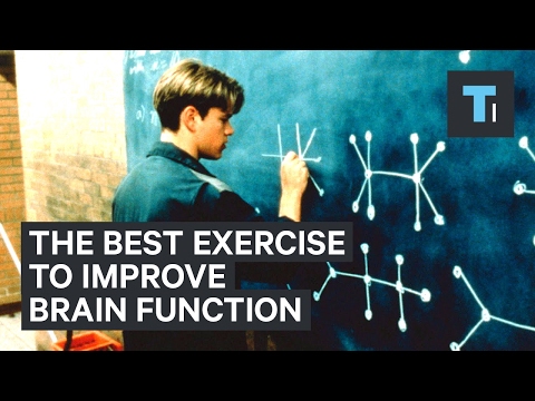 Neuroscientist explains the best exercise to improve brain function