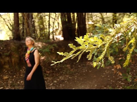 Stanford Researchers Find Mental Health Prescription: Nature