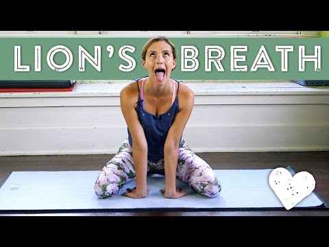 Lion'S Breath - Foundations Of Yoga