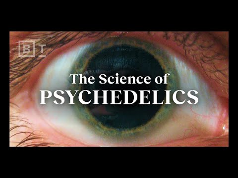 How Psychedelics Work, Explained In Under 6 Minutes | Matthew Johnson