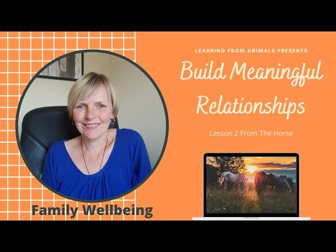 Why You Should Build Relationships Based On Mutual Respect - Lesson 2 From The Horse