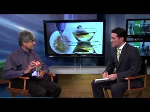 Dr. Dhaval Dhru Discusses The Benefits Of Herbal Teas.